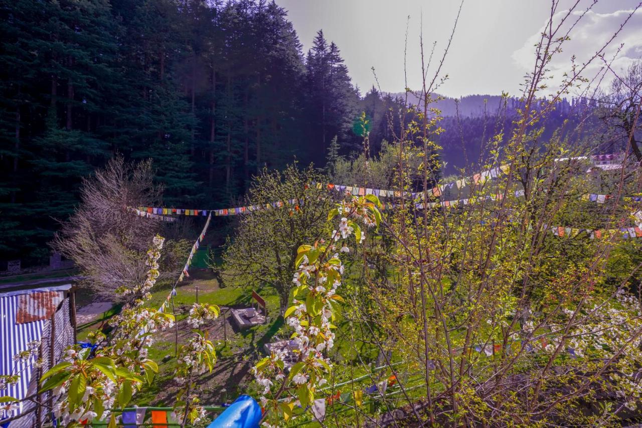 Rama'S Green Forest Manāli エクステリア 写真
